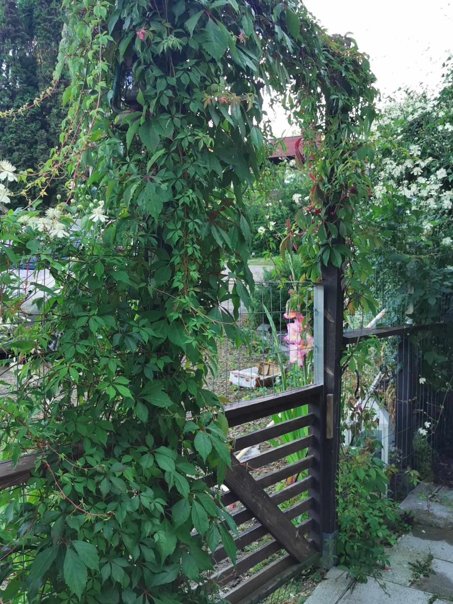 Guesthouse With Sauna ラハティ エクステリア 写真